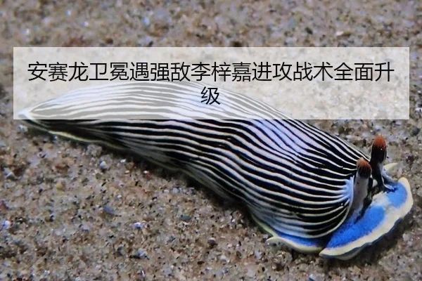 an-sai-long-wei-mian-yu-qiang-di-li-zi-jia-jin-gong-zhan-shu-quan-mian-sheng-ji-3-336.jpg